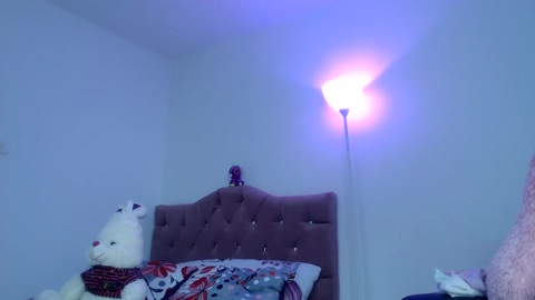 meli__cam1  25-01-2023